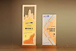 BG大游集团国际一举斩获“2024年度中国区最佳雇主”等多项大奖